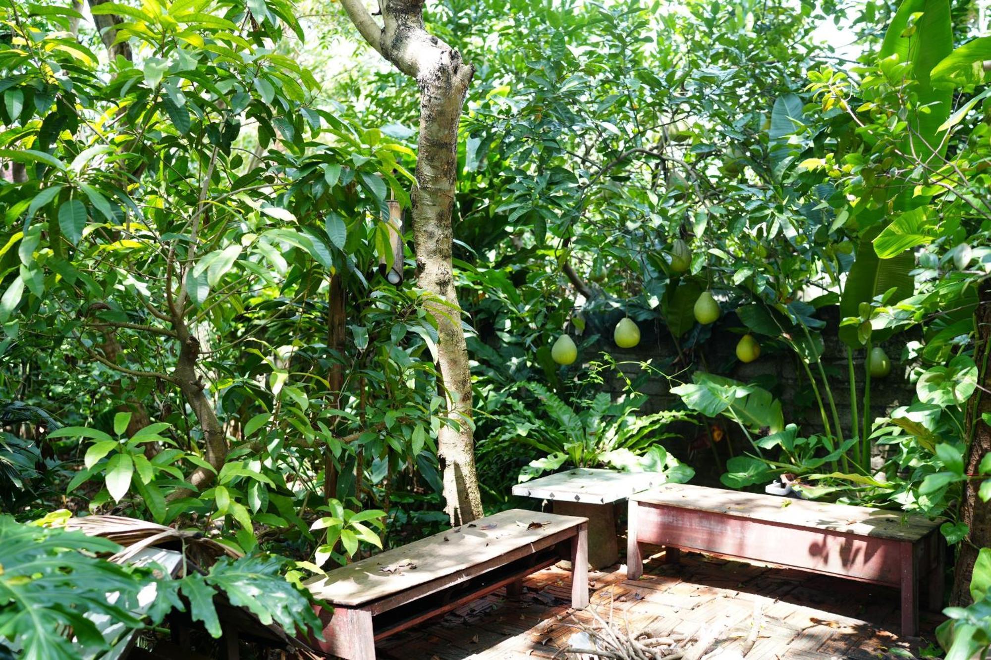 Nha Lua Homestay Ninh Bình Exteriör bild