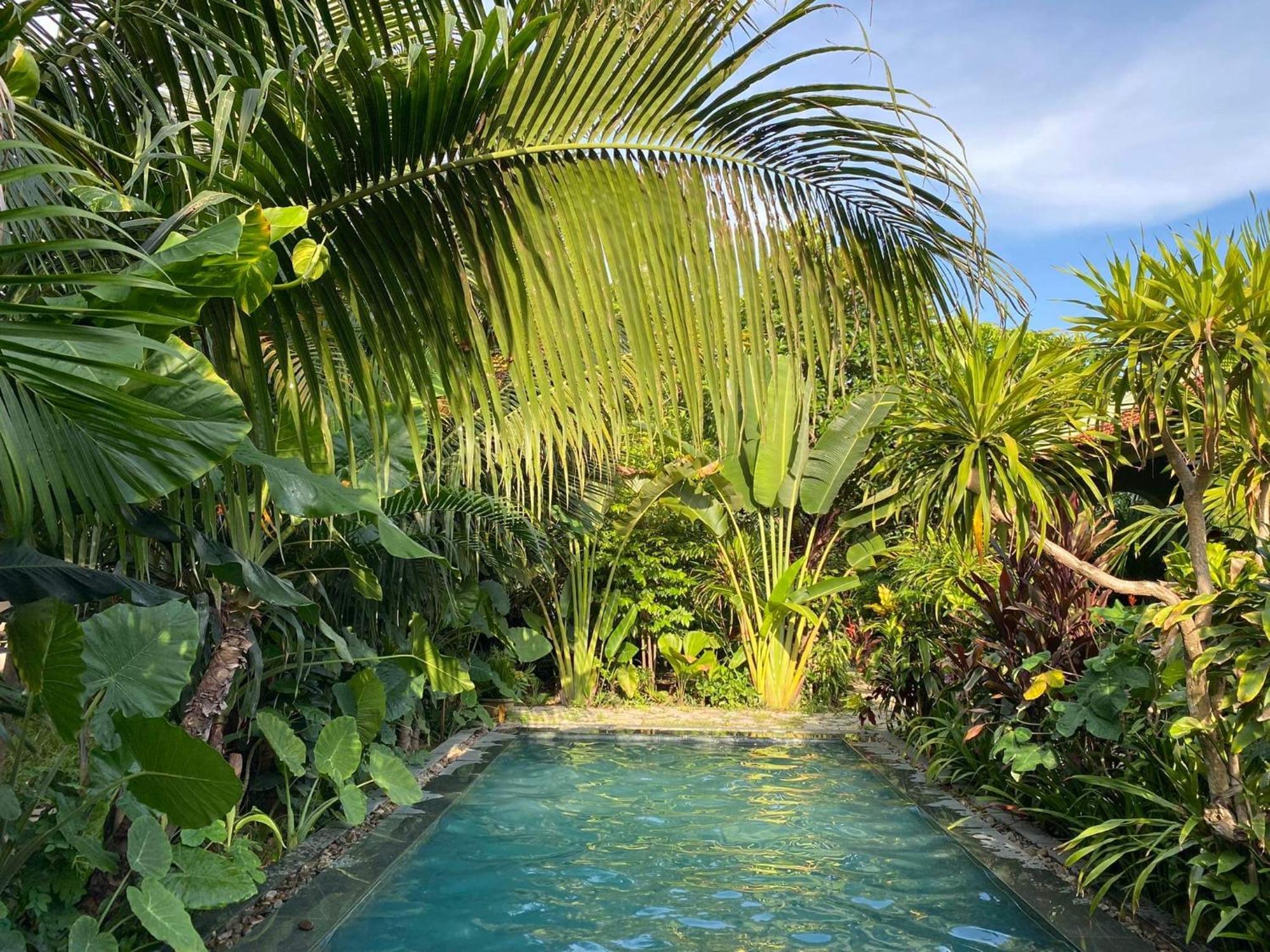 Nha Lua Homestay Ninh Bình Exteriör bild