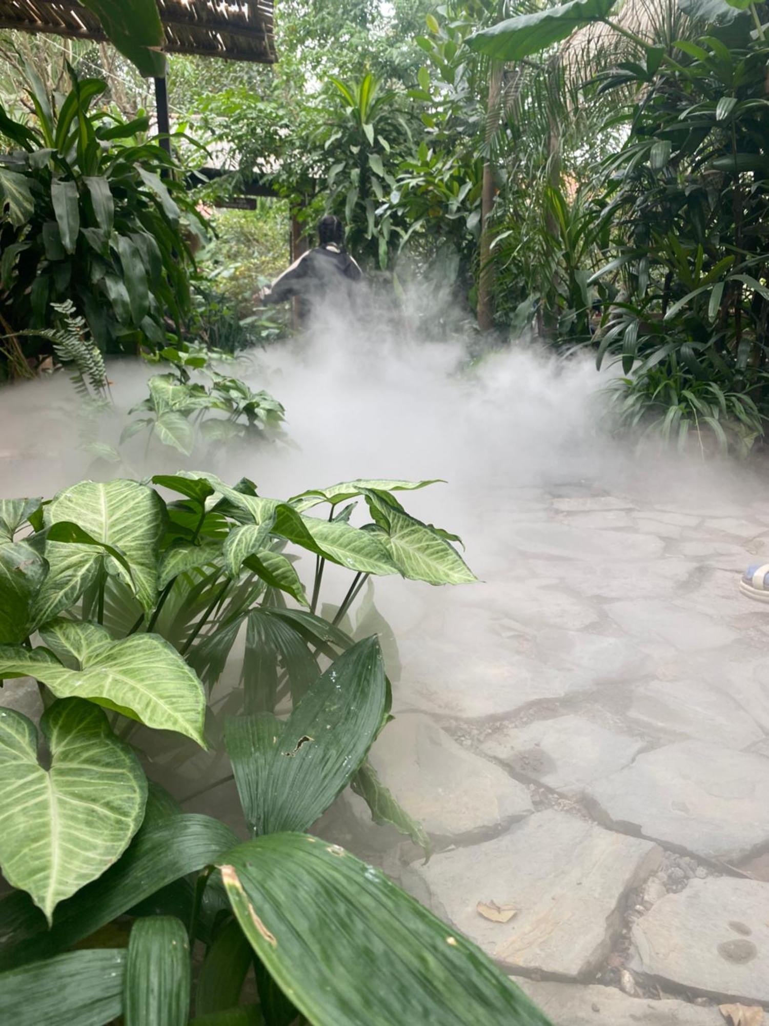 Nha Lua Homestay Ninh Bình Exteriör bild