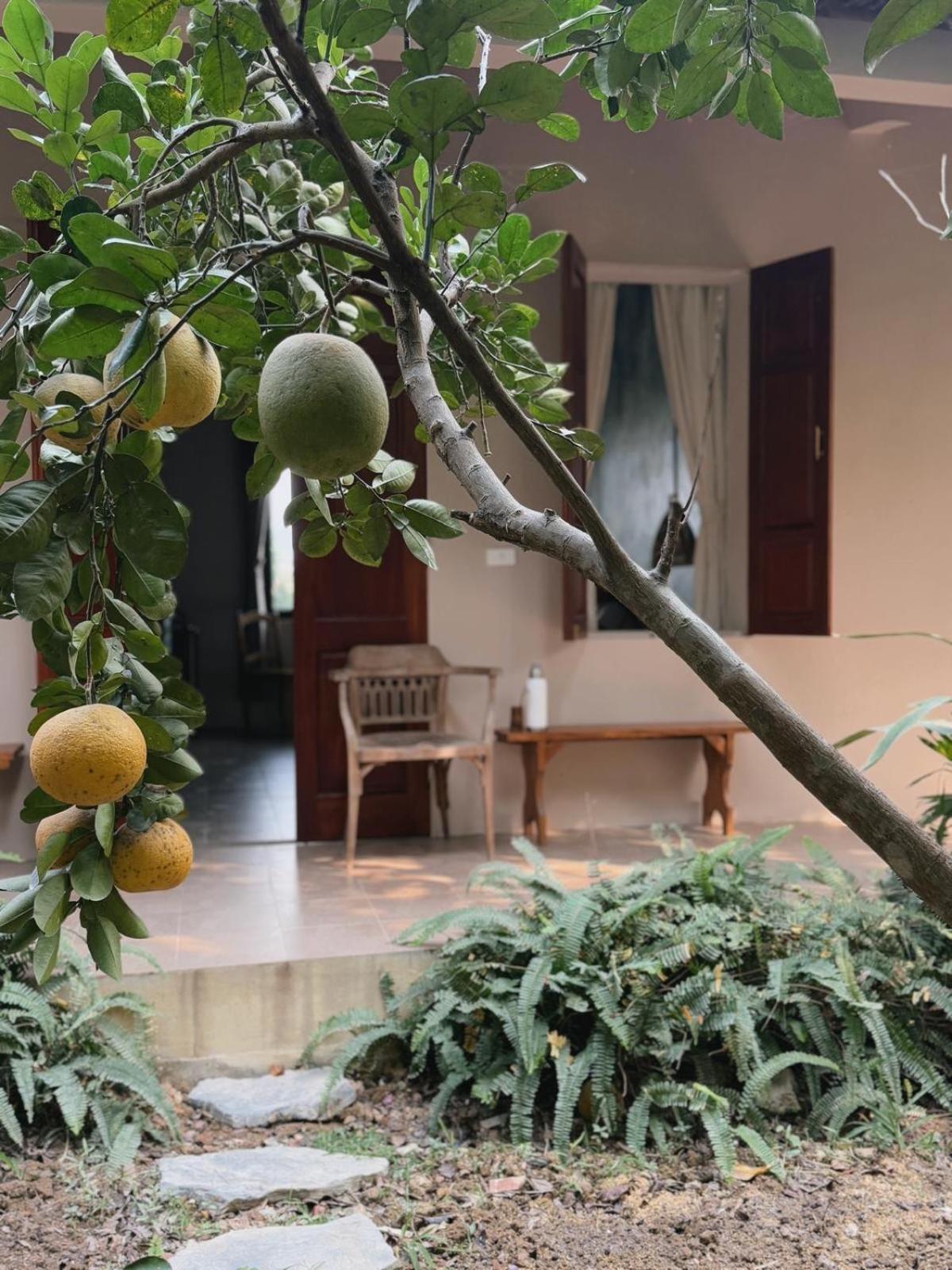 Nha Lua Homestay Ninh Bình Exteriör bild