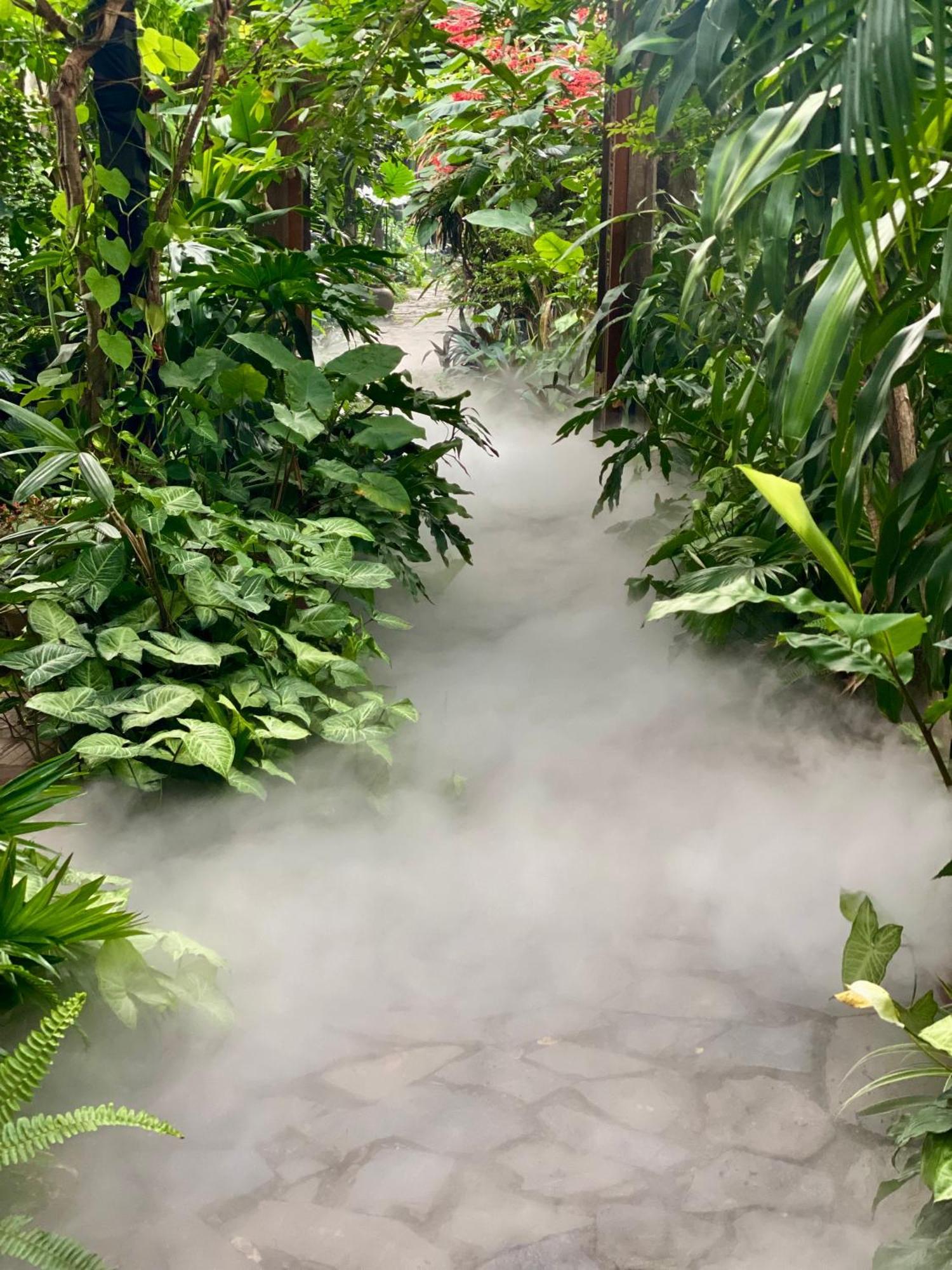 Nha Lua Homestay Ninh Bình Exteriör bild